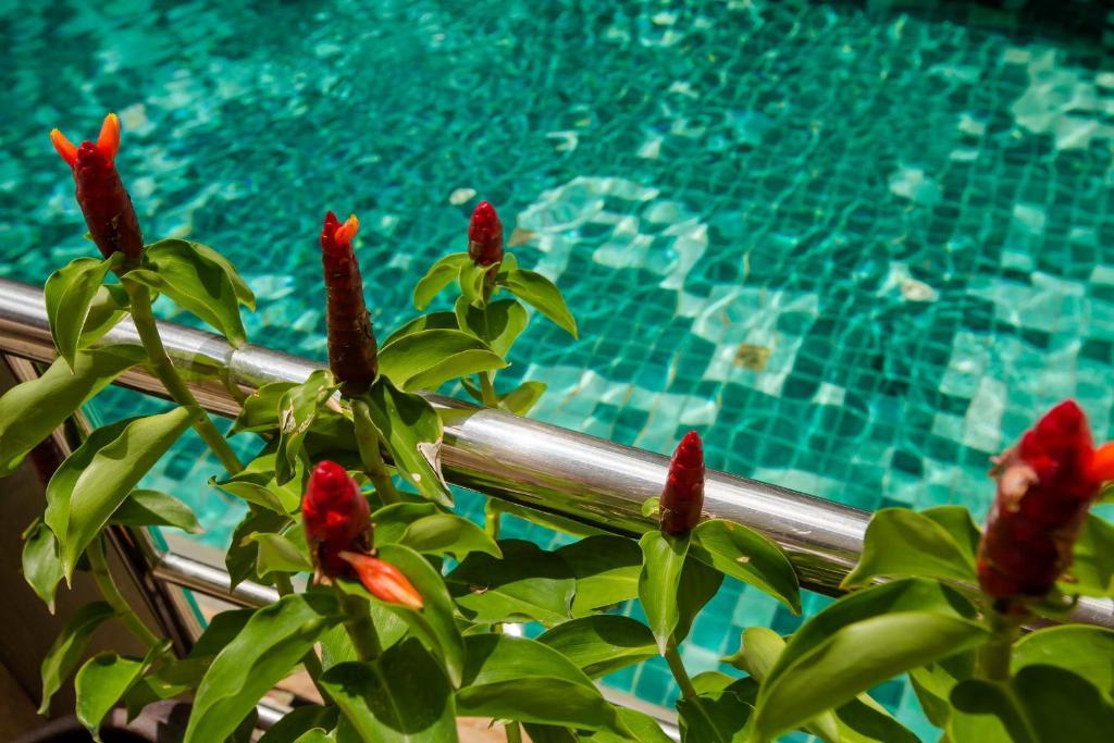 Baan Veerakit Hotel Patong المظهر الخارجي الصورة